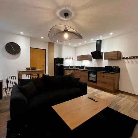 Appartement Cosy Centre Ville Roanne Exterior foto